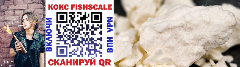 Купить закладки  Стародуб  COCAIN Эквадор 