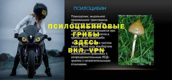 амфетамин Белокуриха